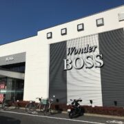 Wonder BOSS